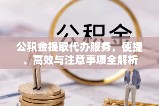 南溪公积金提取代办服务，便捷、高效与注意事项全解析