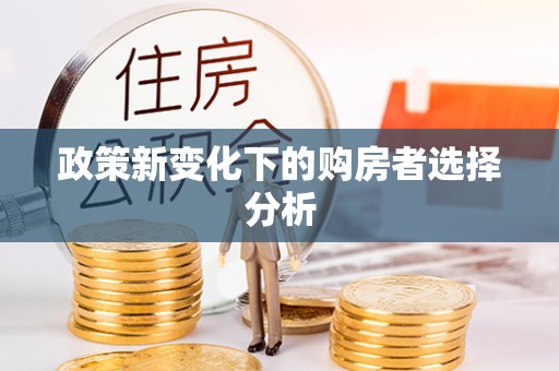 南溪政策新变化下的购房者选择分析