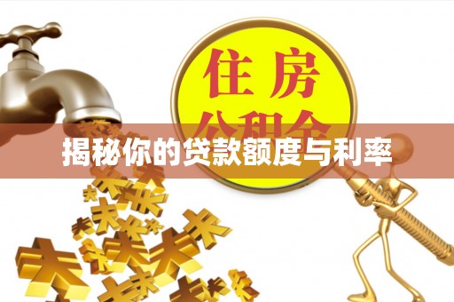 南溪揭秘你的贷款额度与利率