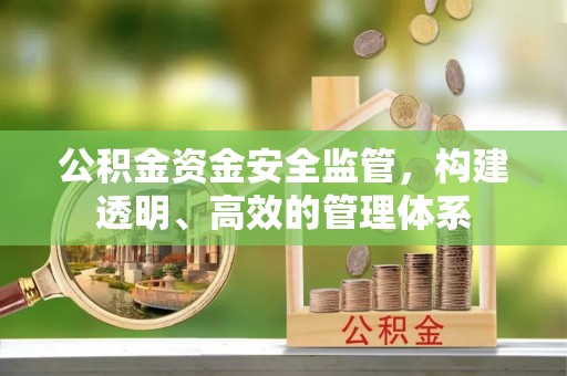 南溪公积金资金安全监管，构建透明、高效的管理体系
